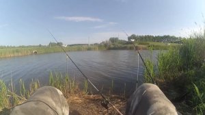 РЫБАЛКА "НА ПОПЛАВОК" КАРПЫ ВЫРЫВАЮТ УДОЧКУ, МОЩНЫЙ КЛЁВ(Воронежская область, Рыбалка 2020)