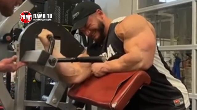 ТЕСТОСТЕРОНОВЫЙ МЕДВЕДЬ Растёт | РУЛЛИ Снова Разочаровал | ХАНТЕР ЛАБРАДА Набирает смотреть онлайн