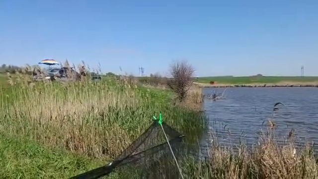 отчёт Сергея с Атлантово! клева больше не будет..... временно смотреть онлайн