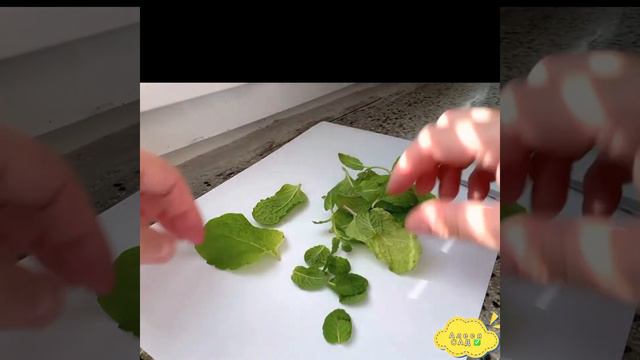 ВЫПУСК 9: Как засушить мяту?🍃🌱🪴 смотреть онлайн