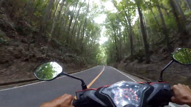 VLOG #15 ФИЛИППИНЫ 2019 - ДОЛГОПЯТЫ (ТАРСИЕРЫ) В ПАРКЕ НА ОСТРОВЕ БОХОЛЬ И ШОКОЛАДНЫЕ ХОЛМЫ