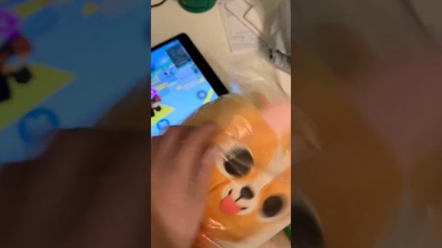 Хуг корги смотреть онлайн