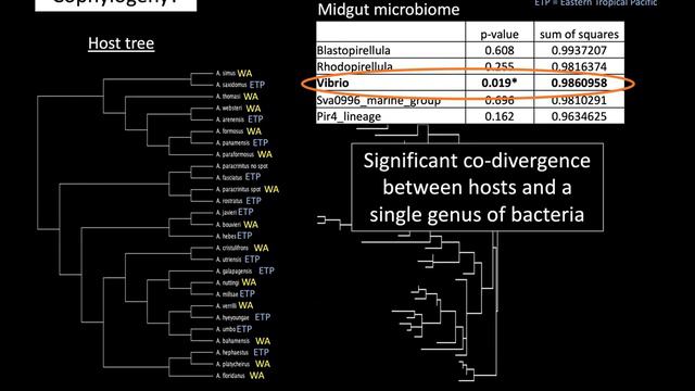 Drivers, function & evolution of marine host-associated... by Dr. Matthieu Leray | October 13, 2021 смотреть онлайн