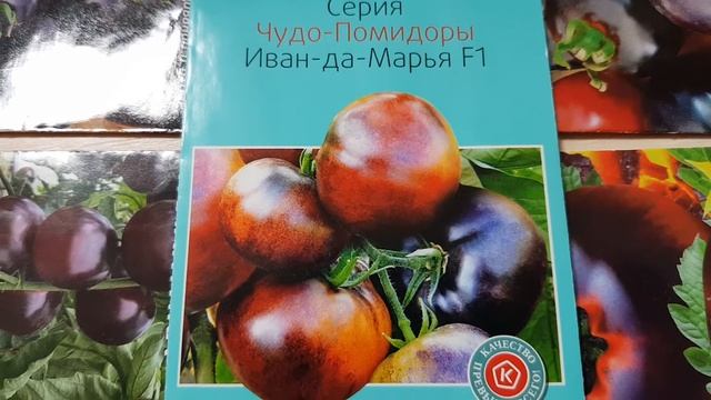 Помидоры. Шоколандия. #4#. Сорта для любителей экзотики. смотреть онлайн