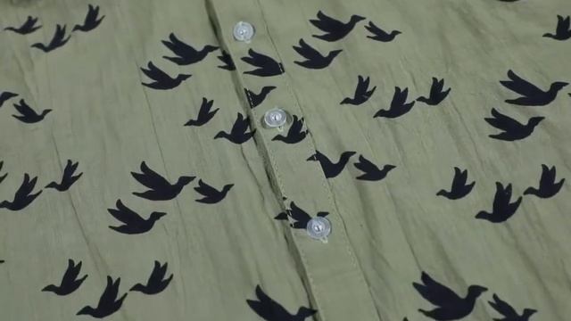 Гавайская рубашка с длинным рукавом принтом дикого гуся, льняные рубашки на пуговицах, летние смотреть онлайн