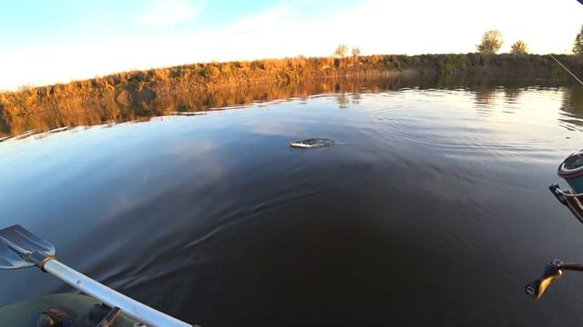 Рыбалка сплавом по реке Десна ! Трудовая Рыбалка по высокой воде. Осень2021