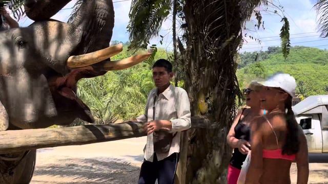 12 февраля 2024 г. смотреть онлайн