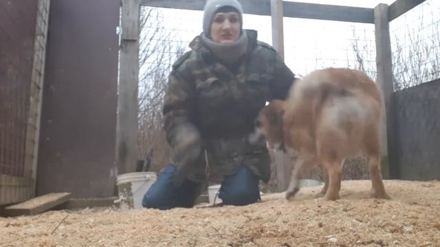 Стэфа ищет дом!Питер и Л.О. смотреть онлайн