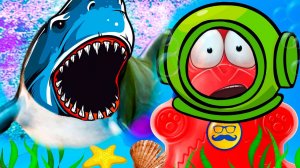 Нападение под водой в Египте с медведем Валерой