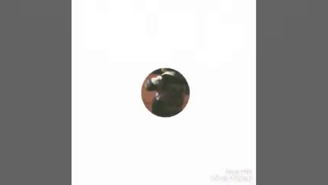 Zufa zufa_rafaza смотреть онлайн
