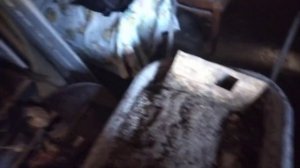 Уборка помета у перепелов