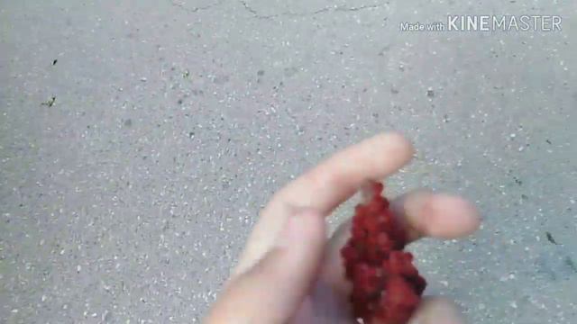 Я понял почему желтеют листья извинити:( смотреть онлайн