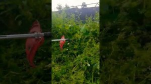 Бензокоса "Крюгер"