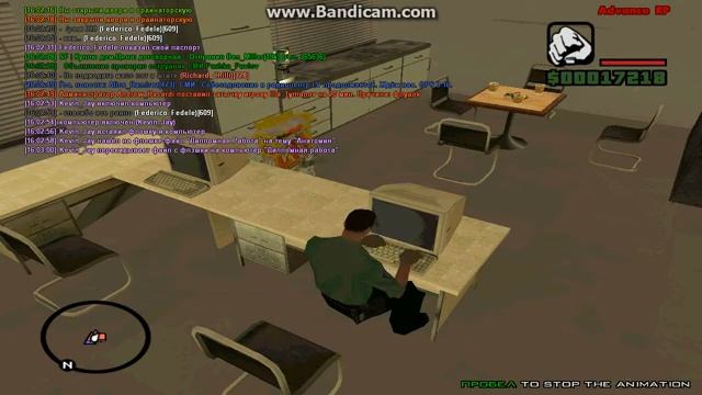 Дипломная Работа на тему Анатомия (SAMP ARP) смотреть онлайн