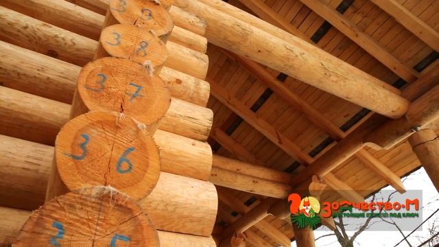 Отзыв №3 Часть 1 смотреть онлайн