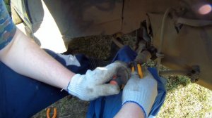 Замена пыльника шруса  Калина, гранта, Приора. ВАЗ.