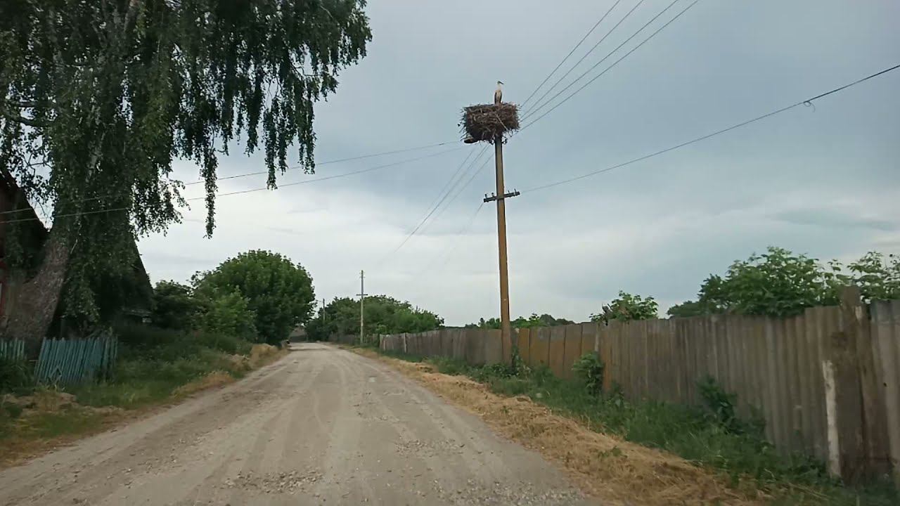 Вечерний Случевск...25июня 2021год