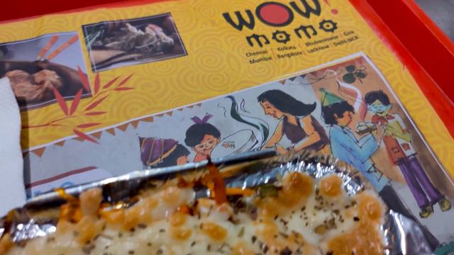 I ONLY ATE WOW MOMO FOR 24 HOURS *Gone WOW* 😍 FOOD CHALLENGE | QuiCreations ft. Thakur Sisters смотреть онлайн