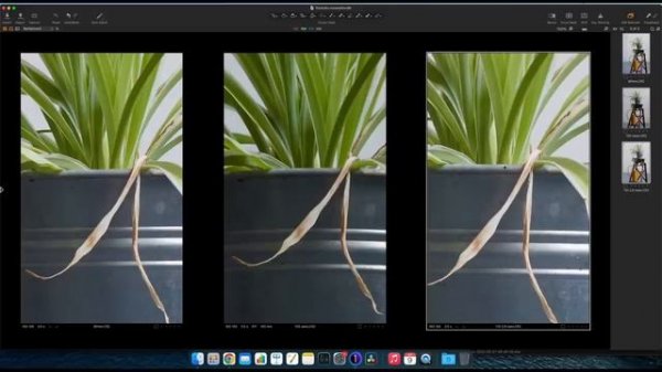 Review of LEGENDARY  Mamiya RZ 110mm f2 8 Sekor Lens