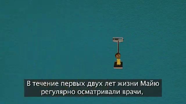 Майе исполняется два года смотреть онлайн