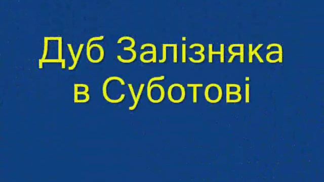 Юля Постойко смотреть онлайн