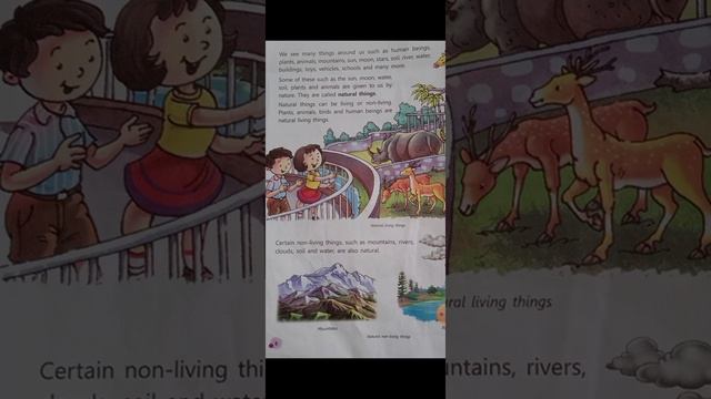 The Living and Non-living Things смотреть онлайн