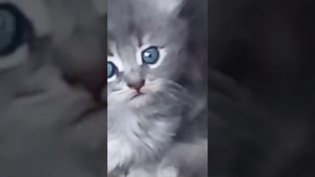 +8 930 720-80-97←это номер телефона! смотреть онлайн