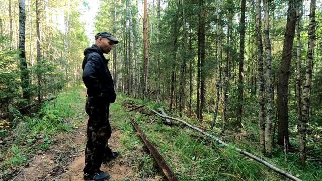 В лесу как дома! Праздничный коп! "Обмываю" избу, справляю новоселье смотреть онлайн