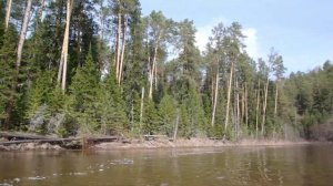 Сплав по реке Кемь в мае 2017