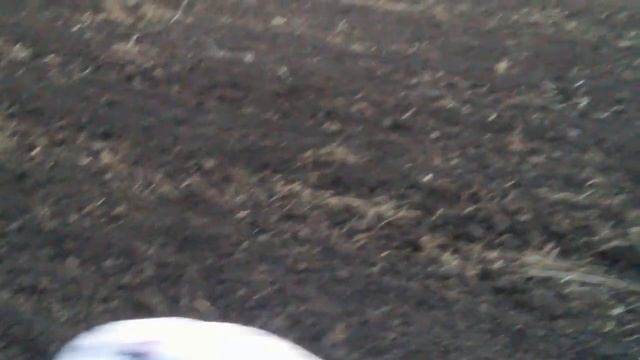 Убираем пленку и каплю на арбузном поле .Дискование дисками АГД 2.1 смотреть онлайн