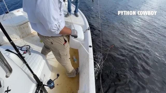 Sent To Emergency Room After Alligator Hunt Gone Wrong смотреть онлайн
