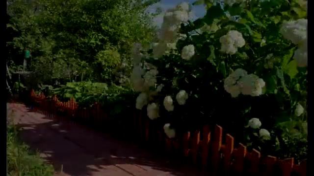 Дачная жизнь Часть 4 Summer at Russian dacha Pt 4 смотреть онлайн