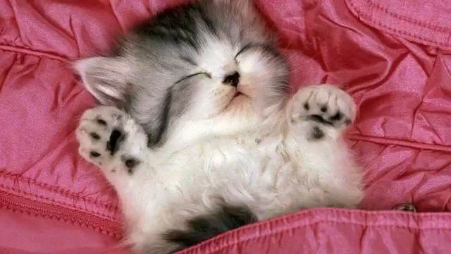 Новый сингл . Невероятная! Как же девушка поет!!! смотреть онлайн