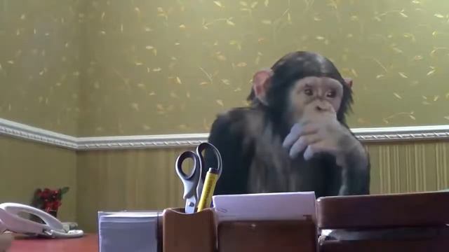 Когда надо решать какие то дела смотреть онлайн