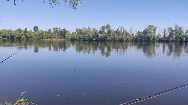 Десна 24.05.2022 Пуховка(1) смотреть онлайн