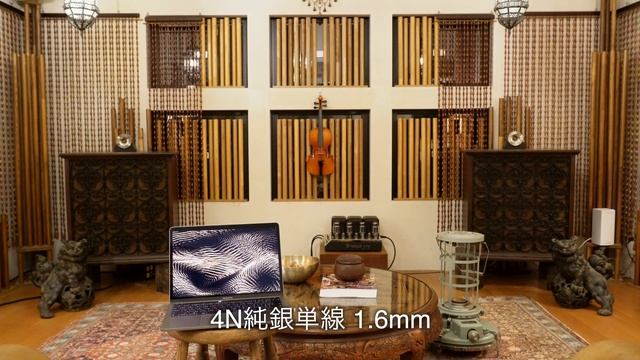 【純銀単線 or WE1940's】スピーカーケーブルのオーディション смотреть онлайн