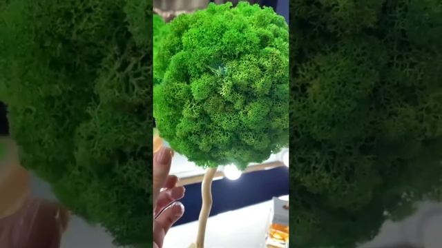 Декоративное дерево топиарий Creative со мхом смотреть онлайн