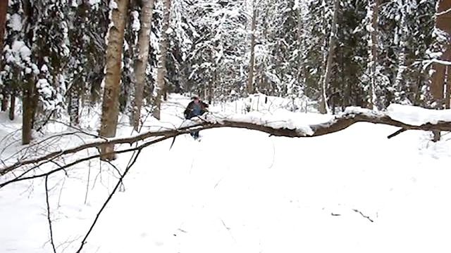 Жёлтые тюльпаны смотреть онлайн