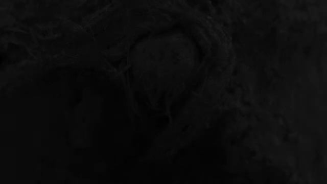 News Apr 10th 2020 12:05 pm 1600 Lanarkshire 'virtual' Caterham returns with 1970s-inspired Pete смотреть онлайн