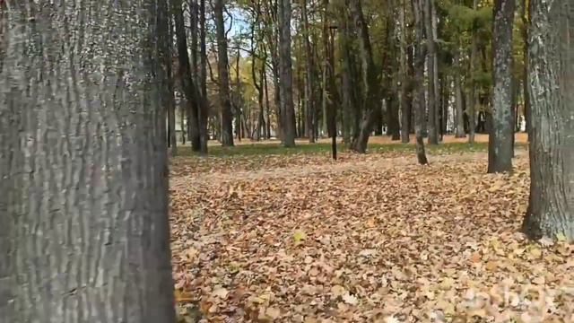 Иду на встречу к подруге😂, но она не знает #подруги#встреча#парк смотреть онлайн