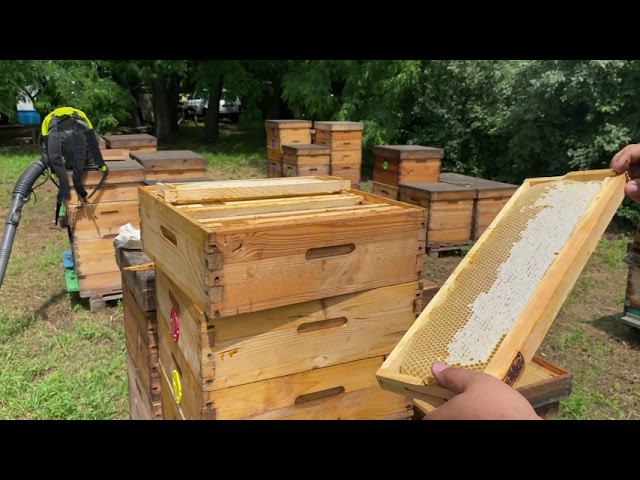 Качаю майский мёд в ритме вальса. 2021 год. смотреть онлайн