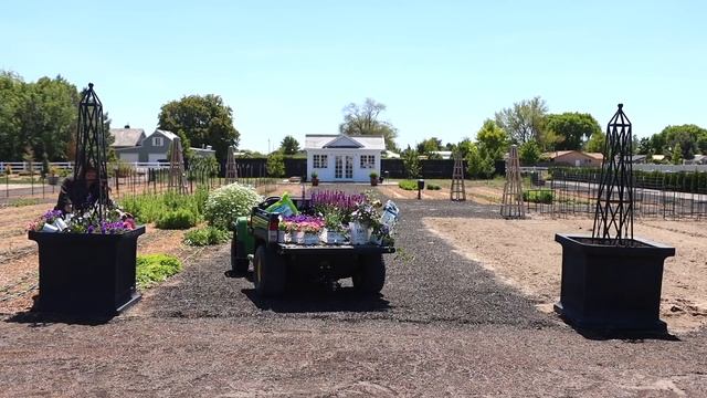 Planting Large Full Sun Containers! ?☀️? // Garden Answer