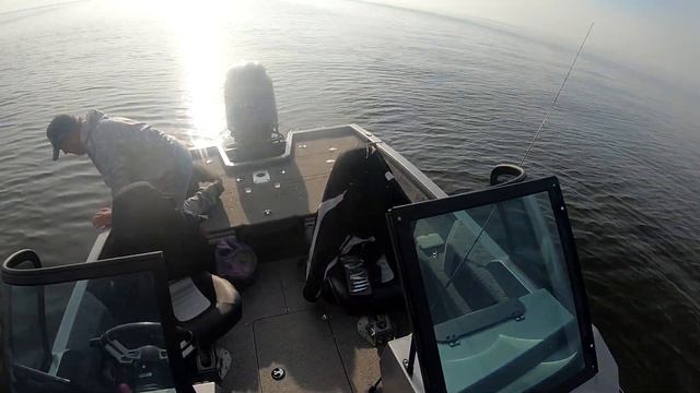 Рыбинка. Рыбинское водохранилище рыбалка в сентябре. Ловим окуня. смотреть онлайн