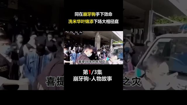 同在崩牙驹手下效命，洗米华叶锦添下场大相径庭？#崩牙驹 #叶锦添 #明星 #江湖大佬 смотреть онлайн