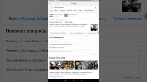 теория Белка и стрелка куда исчез пушок????? тайна!!!!