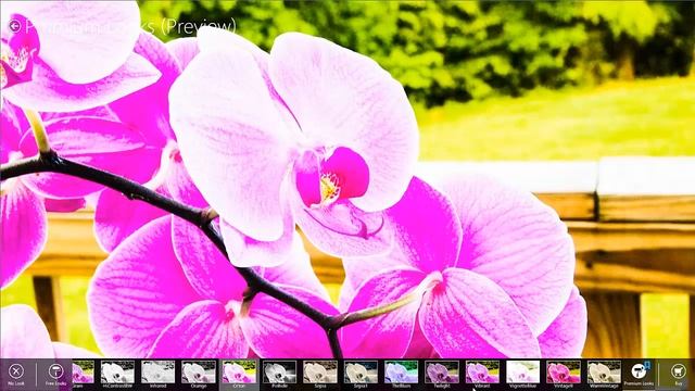 Windows 8 App Review - Adobe Photoshop Express смотреть онлайн
