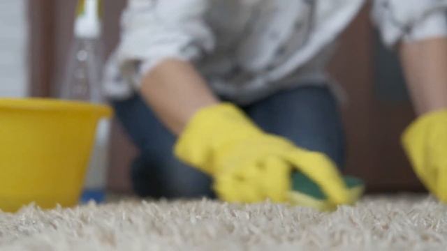 Чистка Шегги в домашних условиях смотреть онлайн