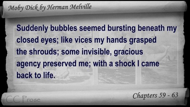 Chapter 059-063 - Moby Dick By Herman Melville