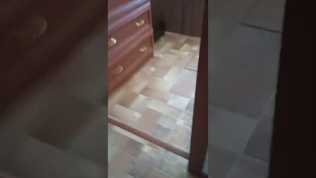 Рыжик-пыжик бешеный ныжик! смотреть онлайн