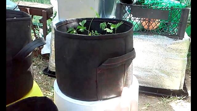 #умный #тканевый #горшок #GROWBAG смотреть онлайн